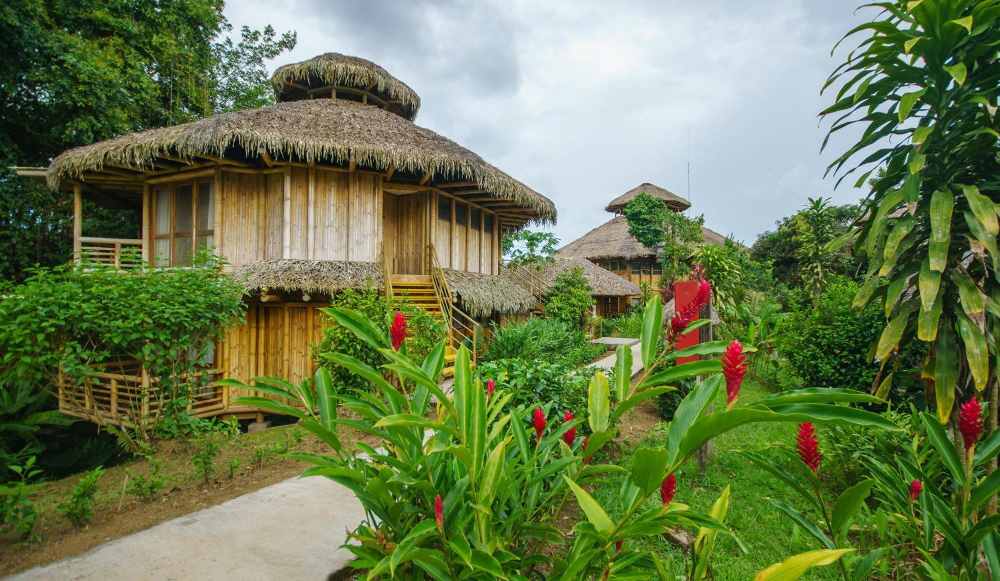 La Selva Eco-Lodge & Retreat Providencia Exteriör bild