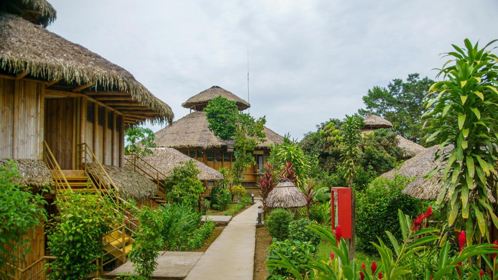 La Selva Eco-Lodge & Retreat Providencia Exteriör bild