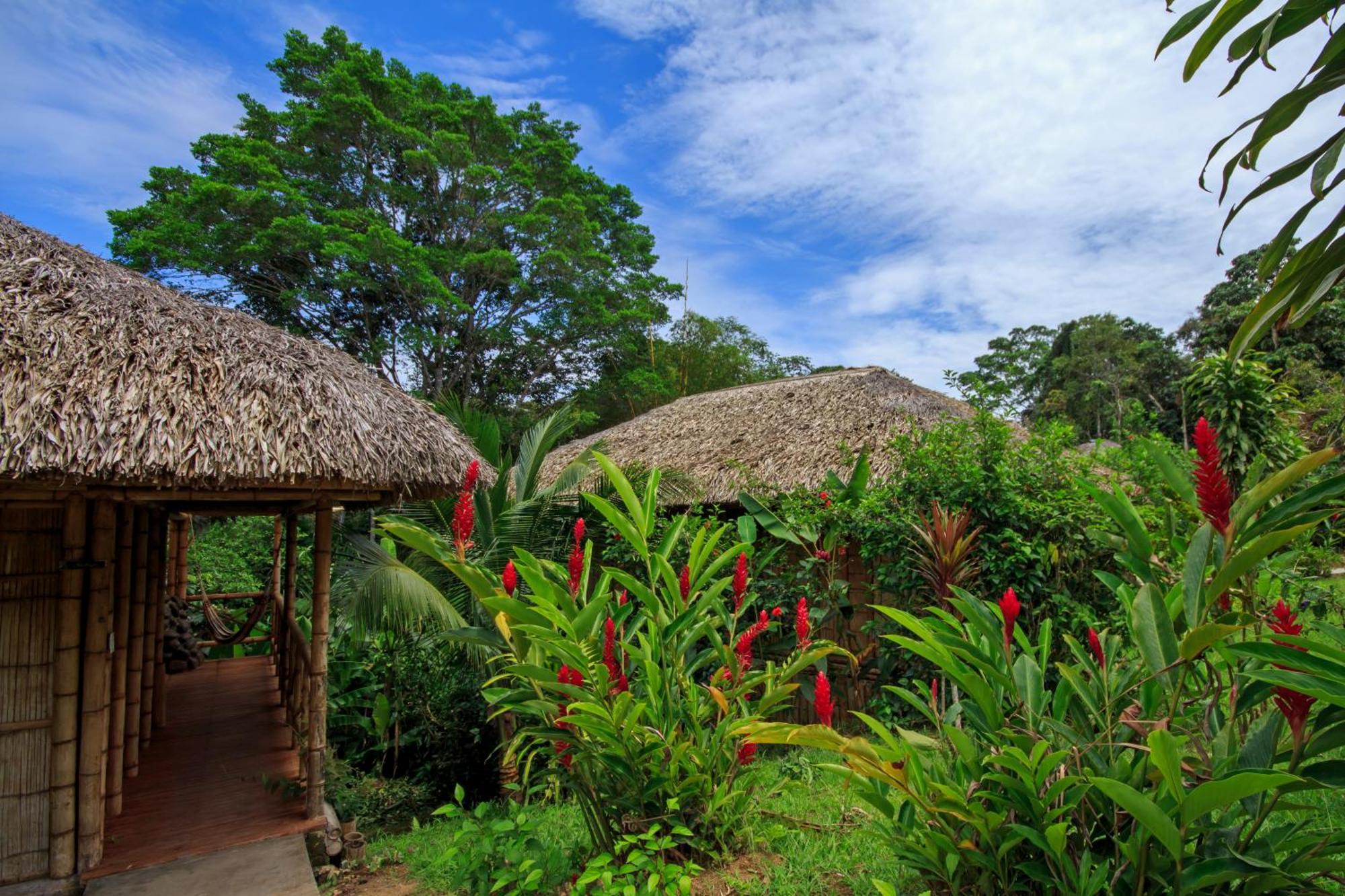 La Selva Eco-Lodge & Retreat Providencia Exteriör bild
