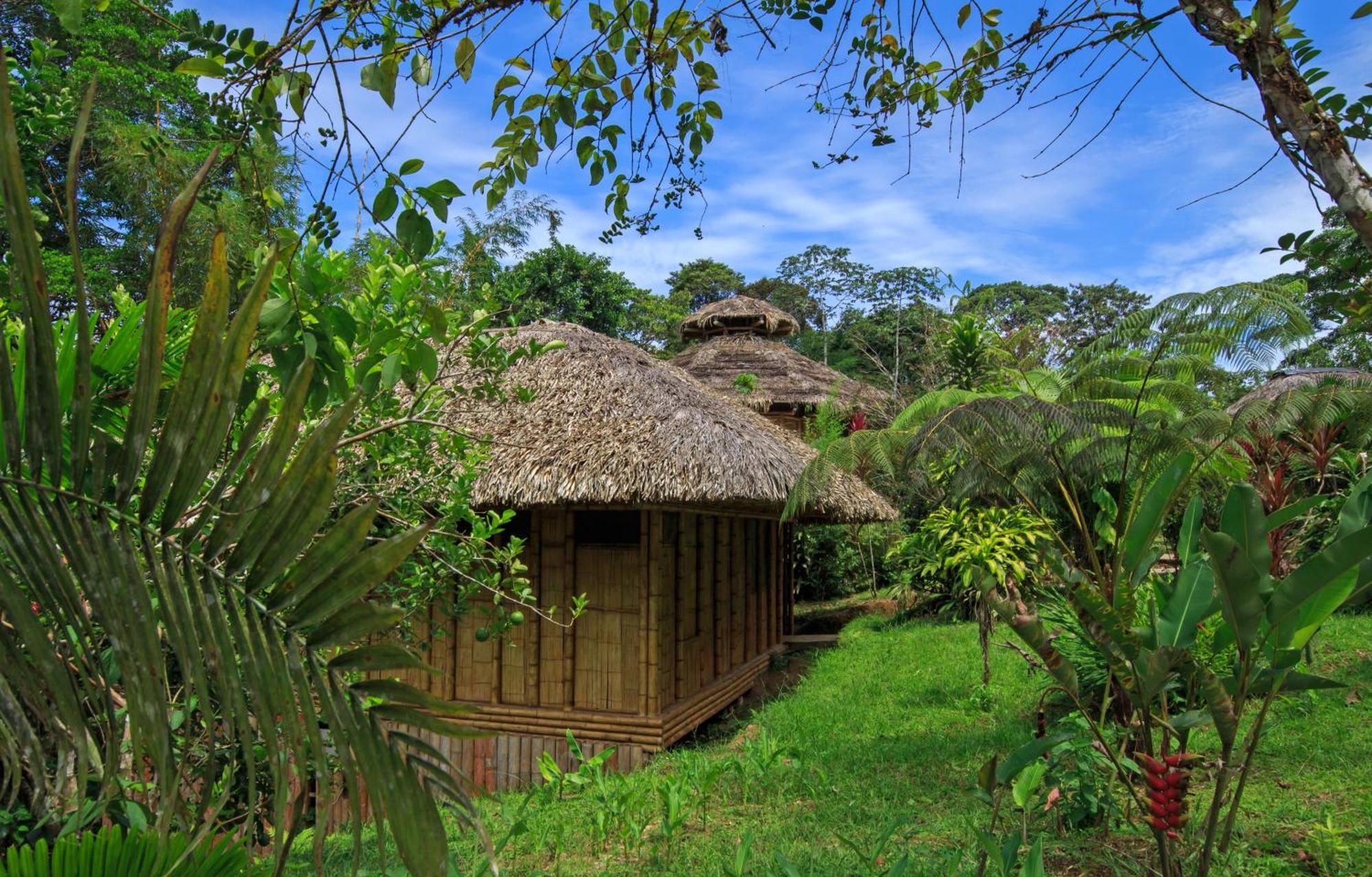 La Selva Eco-Lodge & Retreat Providencia Exteriör bild