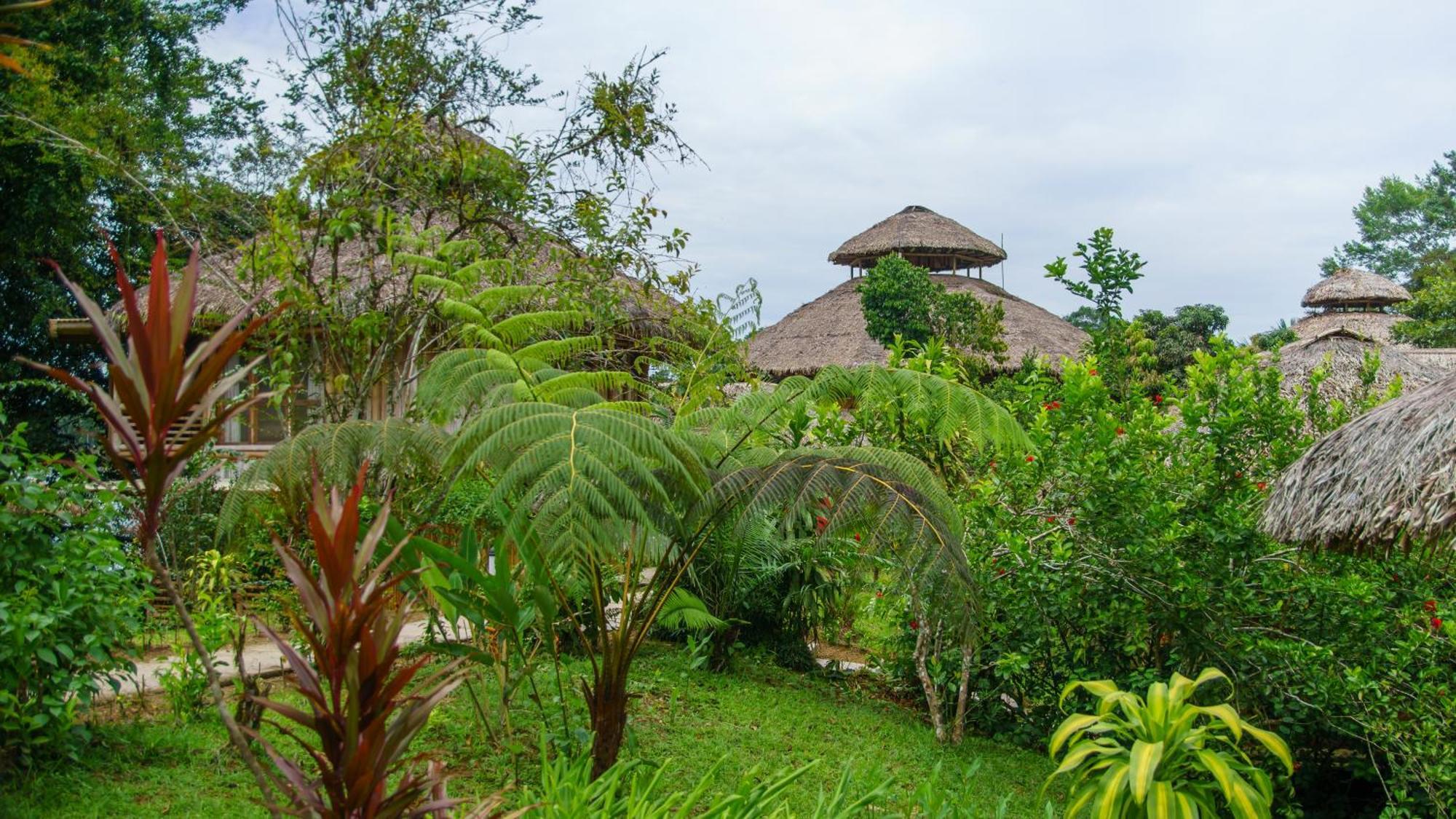 La Selva Eco-Lodge & Retreat Providencia Exteriör bild